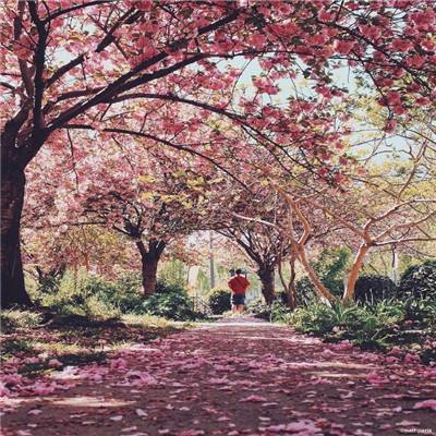 凤凰彩票大厅截图